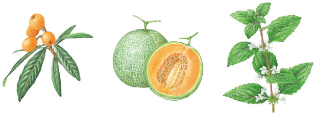 Itrimの魅力 株式会社acro